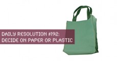 Today's Resolution: Decide on Paper or Plastic